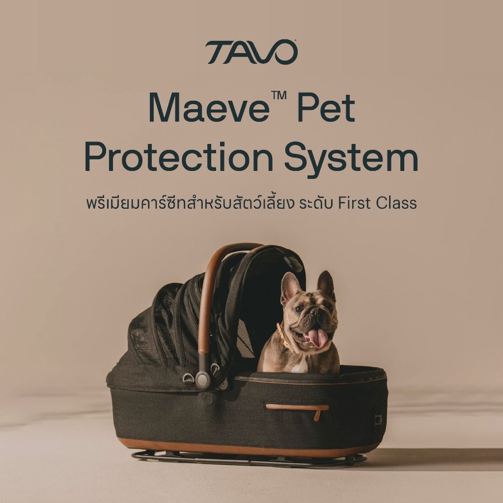 TAVO ตระกร้าคาร์ซีทรถเข็นน้องหมา รถเข็นสุนัขสัตว์เลี้ยงแสนรัก นำเข้าจากประเทศเนเธอร์แลนด์ แบร์นดเดียวกับ NUNAมาแล้วจ้า
