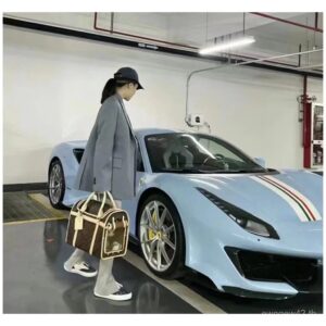 DOG CARRIER 40  M452662