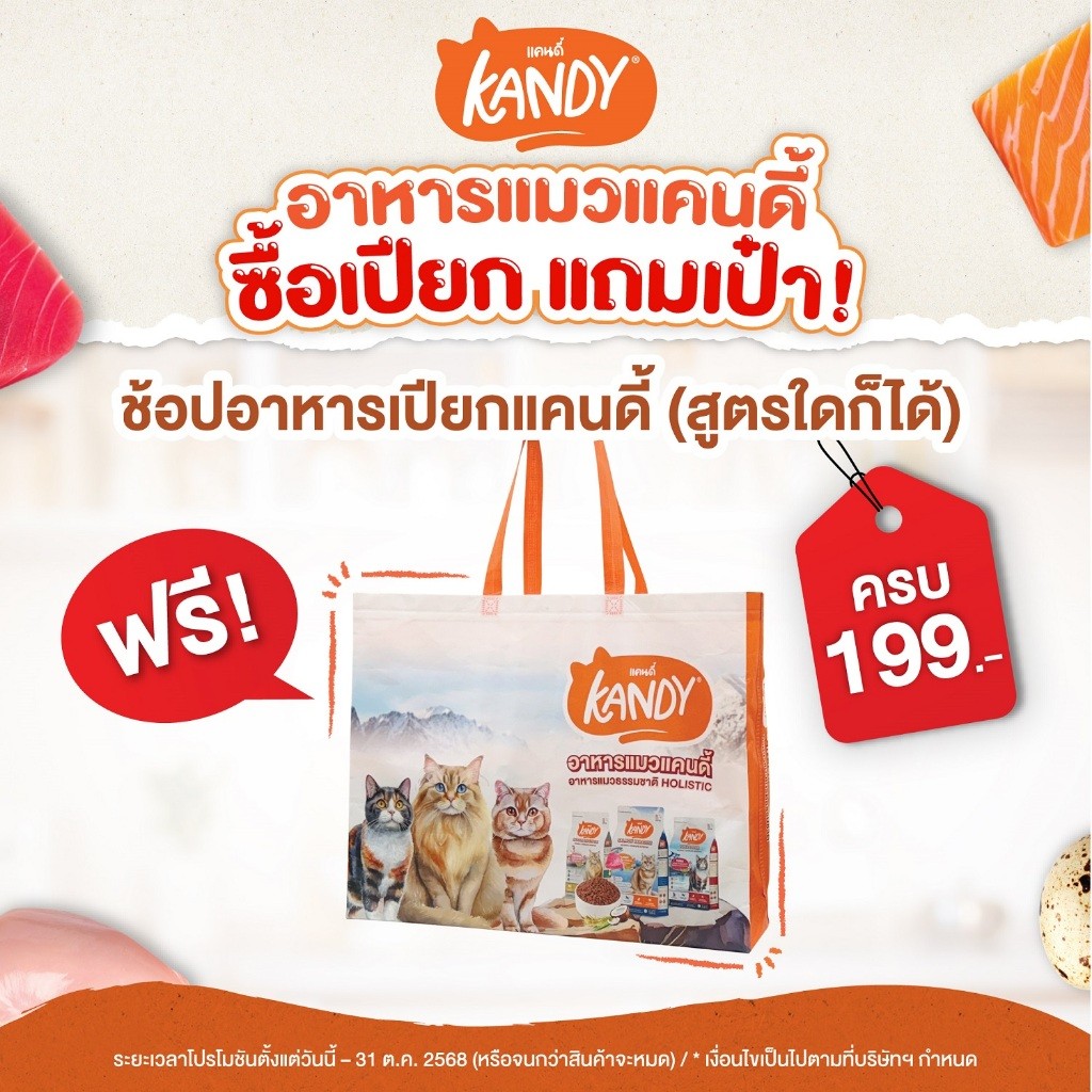 ของแถม กระเป๋า อาหารแมว Kandy