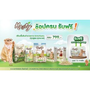 ของแถม Kasty กระเป๋า Shopping Bag