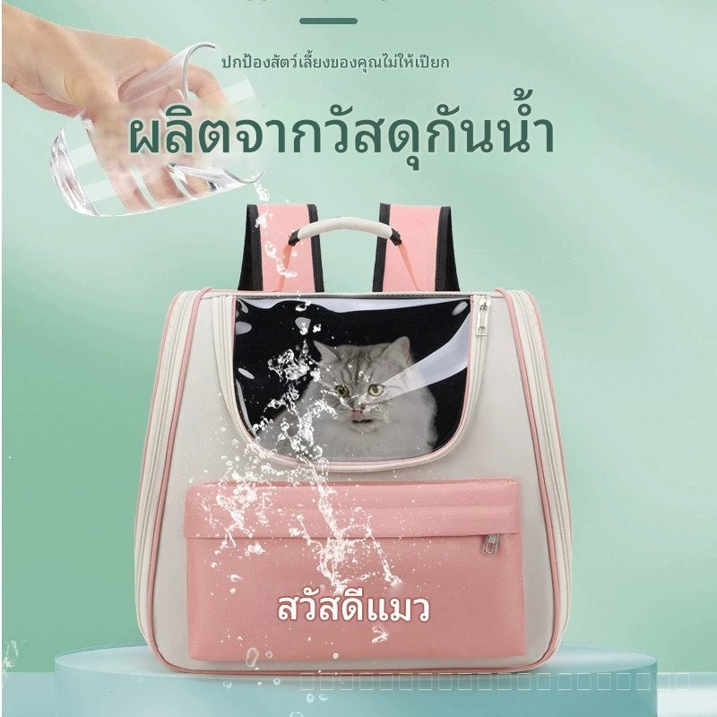 กระเป๋าเป้แมวแบบพกพาสำหรับกลางแจ้ง กระเป๋าสัตว์เลี้ยงความจุขนาดใหญ่ กระเป๋าเป้แคปซูลอวกาศสำหรับแมวและสุนัข กระเป๋าสะพายไหล่คู่สำหรับแมวกลางแจ้ง