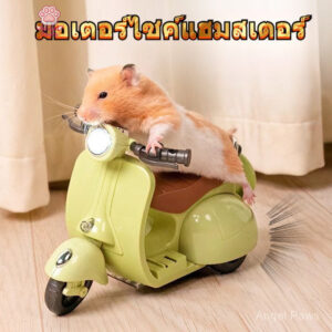ของเล่นสัตว์เลี้ยง หนูแฮมสเตอร์ การแสดงความสามารถ รถจักรยานยนต์ ของเล่น สัตว์เลี้ยง หมุน การแสดงความสามารถ รถของเล่น