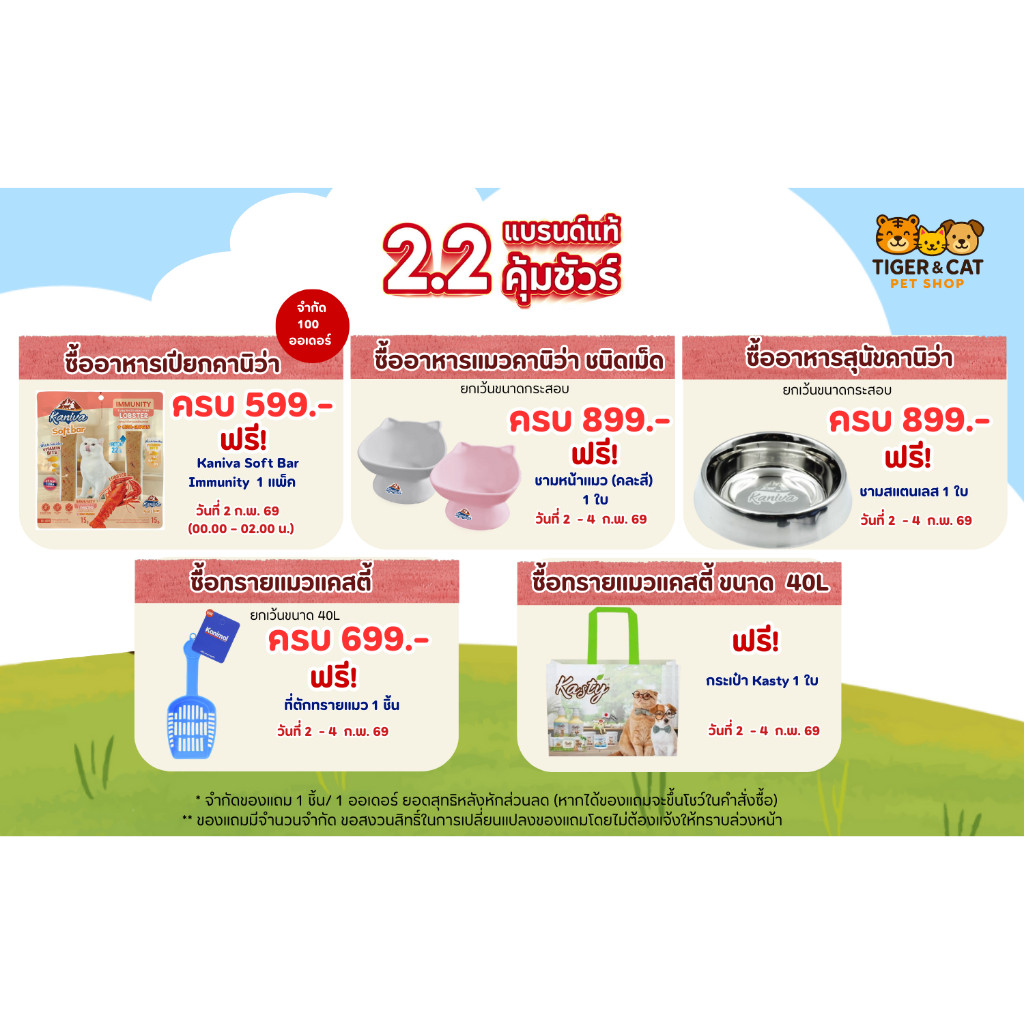 ของแถม Kasty กระเป๋า Shopping Bag