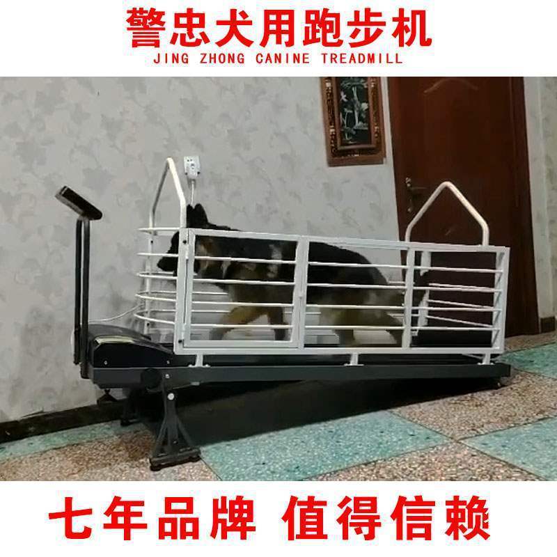 ลู่วิ่งดีไซน์คลาสสิก Hound สุนัขเดินลู่วิ่งไฟฟ้าสัตว์เลี้ยงสุนัขลู่วิ่งสุนัขลู่วิ่ง Deluxe Edition อื่นๆ