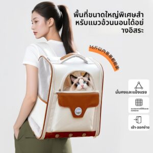 Cat Outing Backpack Portable Hidden Back Cat Bag AntiExciting with Roller Blind Little Teddy Dog Bag Breathable Pet Bag