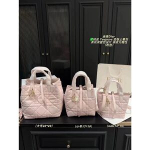 ไซส์ 22 23 พร้อมกล่องพับ ขนาด 17 19 พร้อมกล่องพับ ขนาด 13 15 Dior Toujours Vertical Version Native Package Indigenous Package Is Vitality Few Shots